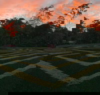 Bellingham Maze - Accommodation Burleigh