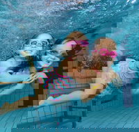 Blacktown Aquatic Centre - Accommodation Burleigh
