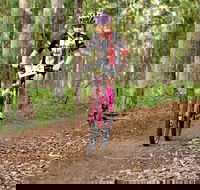 Bom Bom State Forest Mountain Bike Trails - Accommodation Burleigh