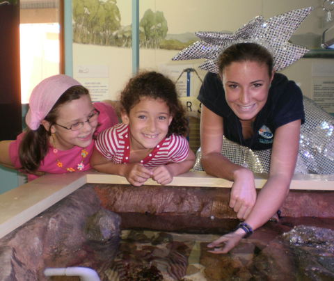 Central Coast Marine Discovery Centre - Accommodation Burleigh 0