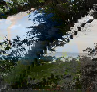 Channel Point Coastal Reserve - Accommodation Burleigh