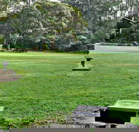 Cottonwood Glen Picnic Area - Accommodation Burleigh