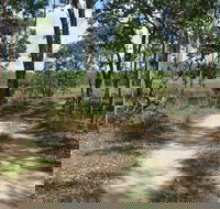 Djukbinj National Park - Accommodation Burleigh