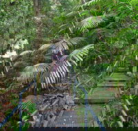 Falls walking track - Accommodation Burleigh