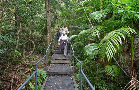Falls Walking Track - Accommodation Burleigh 0