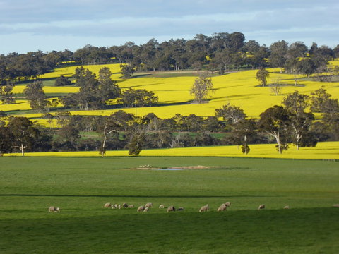 Fini Olives - Accommodation Burleigh 0