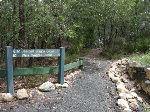 Haig Street Quarry Bushland Reserve Trails - Accommodation Burleigh 1