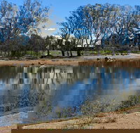 Lake King Wetlands at Rutherglen - Accommodation Burleigh
