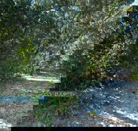 Lillypilly loop trail - Accommodation Burleigh