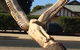 Loxton Community Conservation & Heritage Park - thumb 1
