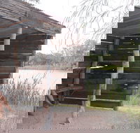 Martin Bend Wetland and Walking Trail - Accommodation Burleigh