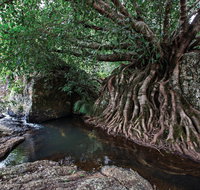 Misty Mountains Wilderness Tracks - Accommodation Burleigh