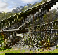 Noojee Trestle Bridge - Accommodation Burleigh