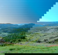 Numinbah Section Springbrook National Park - Accommodation Burleigh