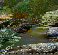 Onkaparinga River National Park - Accommodation Burleigh