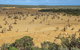 Pinnacles - thumb 1