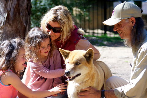 Potoroo Palace Native Animal Sanctuary - Accommodation Burleigh 0