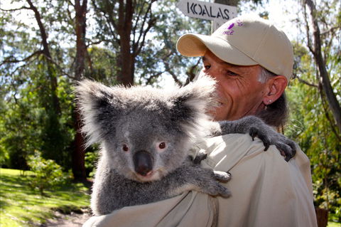Potoroo Palace Native Animal Sanctuary - Accommodation Burleigh 2