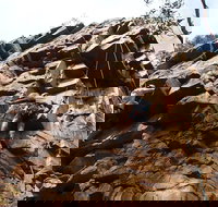 Rock Climbing in Morialta - Accommodation Burleigh