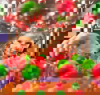 Sciencentre - Accommodation Burleigh