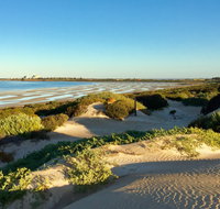 Shelly Beach Dune Walk Trail - Accommodation Burleigh