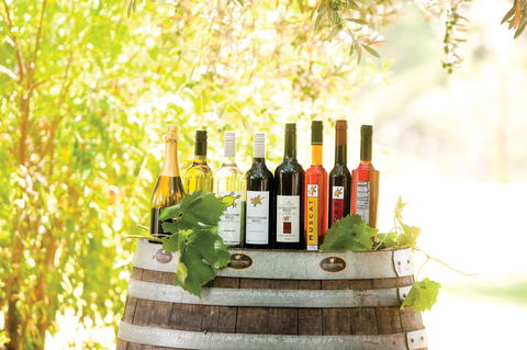 Swan Valley Fresh Seasonal Produce Trail - Accommodation Burleigh 2