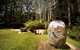 The Pines Picnic Area - thumb 0