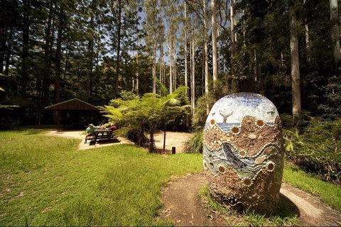 The Pines Picnic Area - Accommodation Burleigh 0