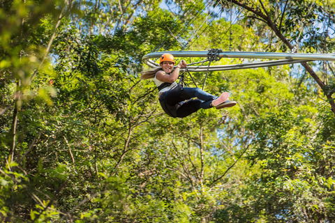 TreeTop Crazy Rider - Accommodation Burleigh 0