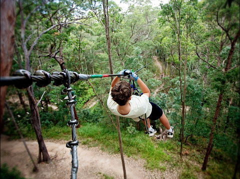 TreeTop Challenge - Accommodation Burleigh 0