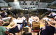 Wagga Wagga Livestock Marketing Centre - thumb 2