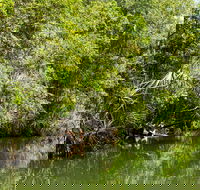 Berry Springs Nature Park - Accommodation Burleigh