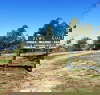Bindea Walking Track - Accommodation Burleigh
