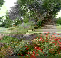 Blackwater - Accommodation Burleigh