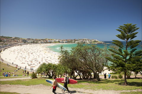 Bondi To Coogee Coastal Walk - Accommodation Burleigh 0
