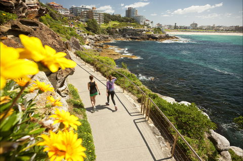 Bondi To Coogee Coastal Walk - Accommodation Burleigh 2