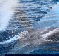 Bremer Bay Canyon - Accommodation Burleigh