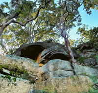 Burrawang Reach Picnic Area - Accommodation Burleigh