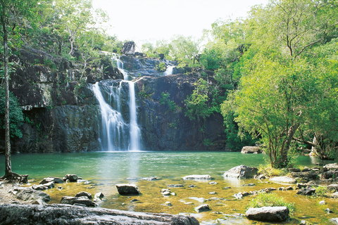 Cedar Creek Falls - Accommodation Burleigh 0