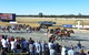 Cobram And District Harness Racing Club - thumb 2