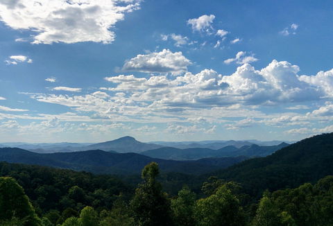 Collombatti - Accommodation Burleigh 0