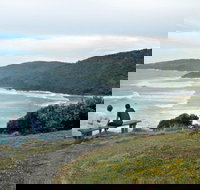 Connors Walking Track - Accommodation Burleigh