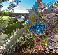 Corkwood and Scribbly Gum Walking Track - Accommodation Burleigh