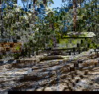 Couridjah Corridor Walk - Accommodation Burleigh