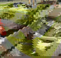 Dardanup Heritage Park - Accommodation Burleigh