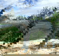 Dingo Statue - Accommodation Burleigh