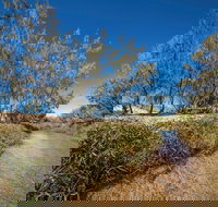 Freshwater Creek Track Byfield National Park - Accommodation Burleigh