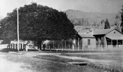 Jamieson Museum - Accommodation Burleigh 0