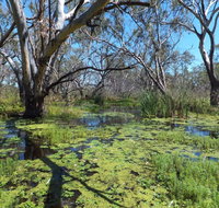 Macquarie Valley Trails - Accommodation Burleigh