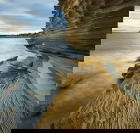 Maria Island - Accommodation Burleigh